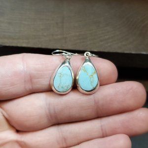 Sterling Silver Light Blue Stone Inlay Cute Earrings
